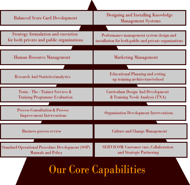 Core Capabilities picture here